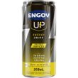 Imagem_ENGOV-UP-TROPICAL_FR_1000px.jpg
